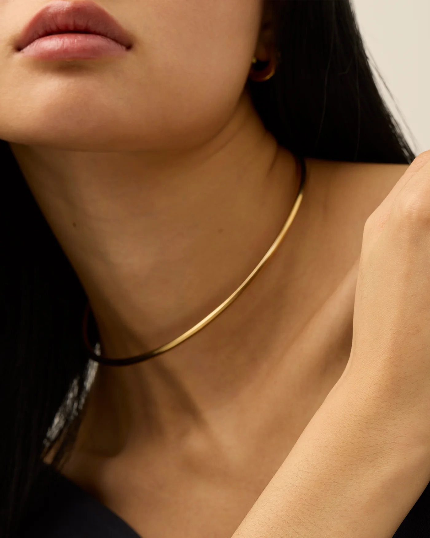 Dane Collar - Image 4